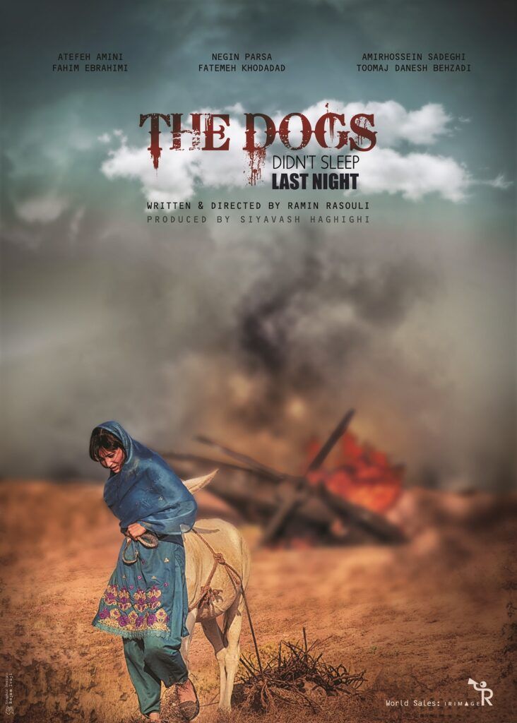 فیلم سگ ها دیشب نخوابیدند